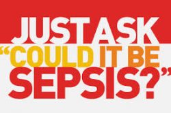 Rapid improvement: Saving lives with the Sepsis Six