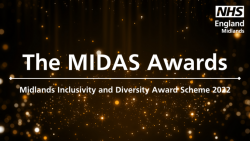 NHS England Midlands Inclusivity and Diversity Award Scheme 2022