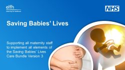 Updated Saving Babies’ Lives sessions now available