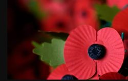 Poppies for sale at Sandwell Hospital