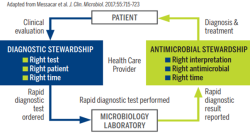 World AMR Awareness Week (WAAW)- Optimising Diagnostics